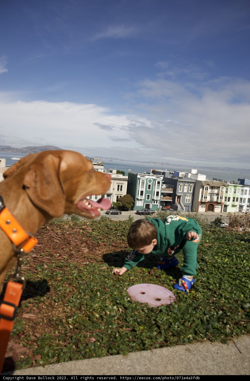 Frisbee Fun in Francisco Park