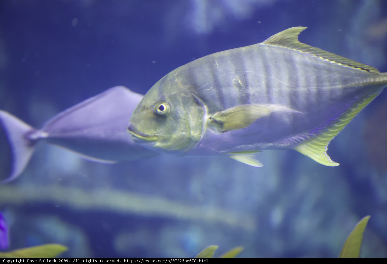 Underwater World