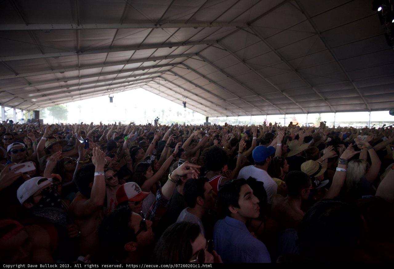 Coachella Music Festival Crowd