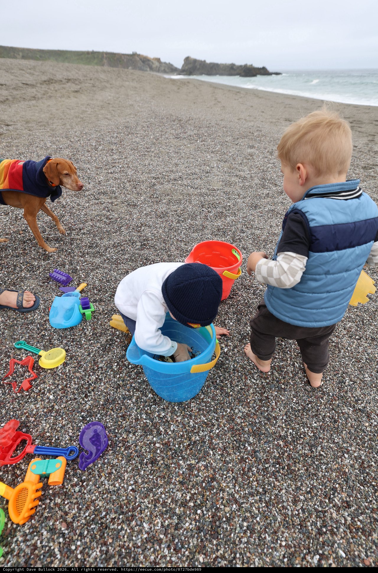 Toddlers Playing with Beach Toys on Pebble Shore