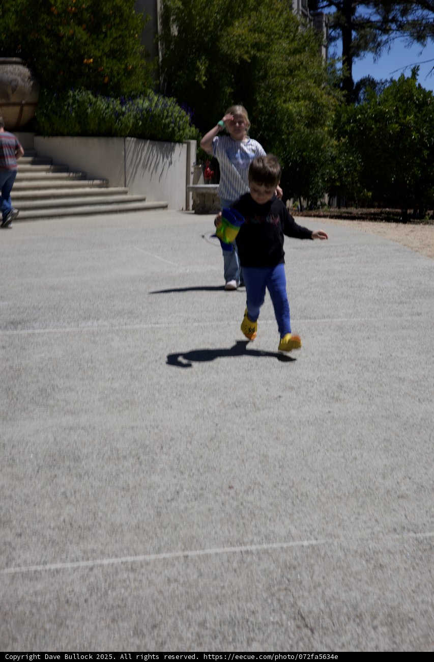 Summer Fun at Hearst Castle