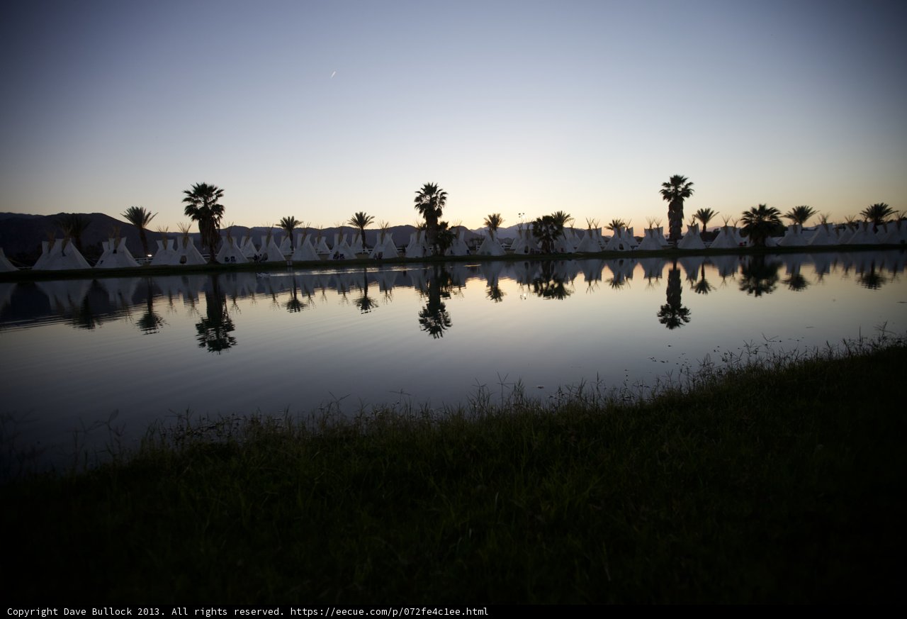 Palm Trees at Dusk