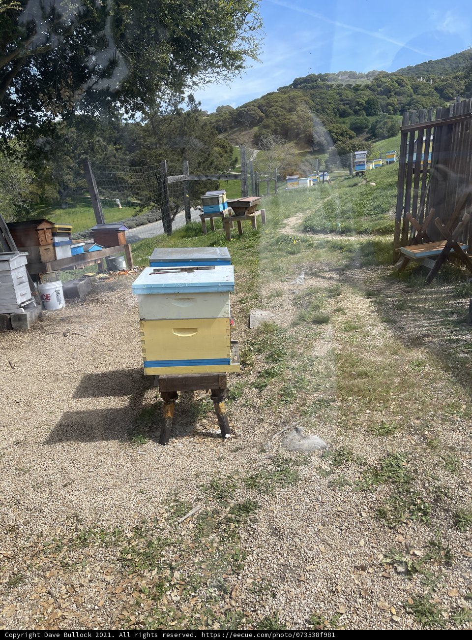Beekeeping on the Go