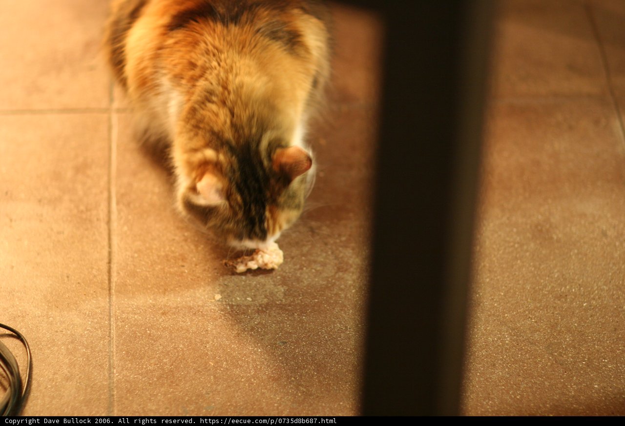 Floor Feast