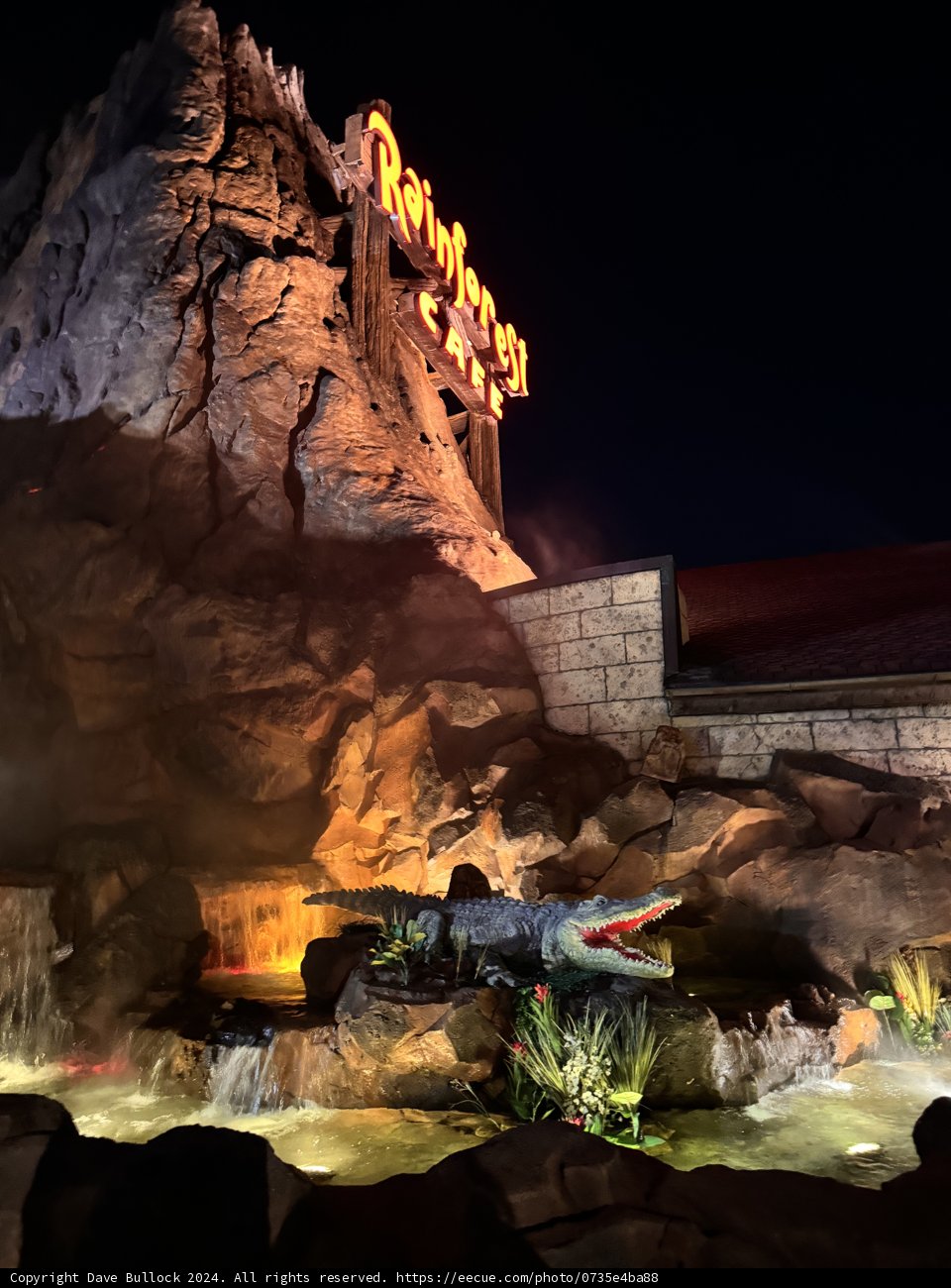 Enchanted Nightscape at Rainforest Cafe