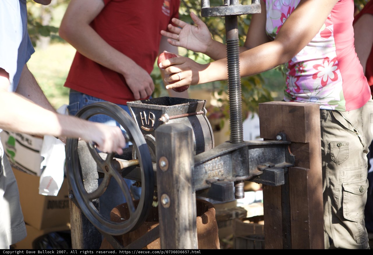 Inspecting the Apple Farm Machine