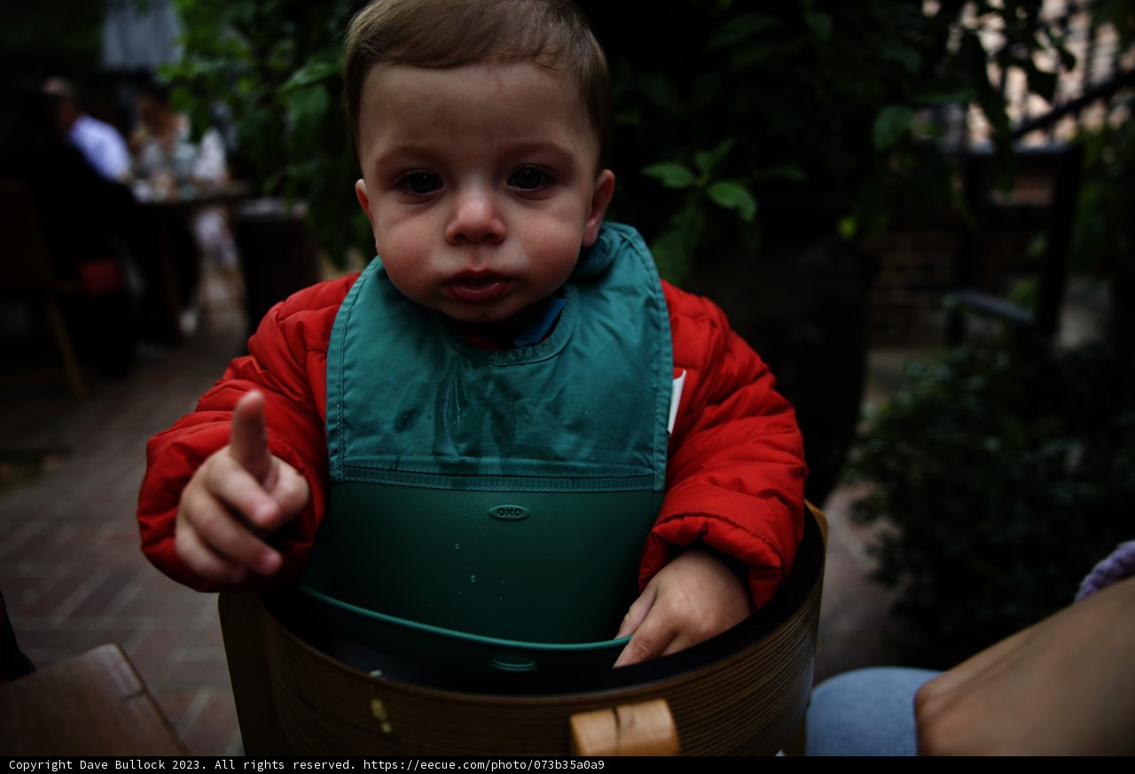 Baby's First Potluck Adventure