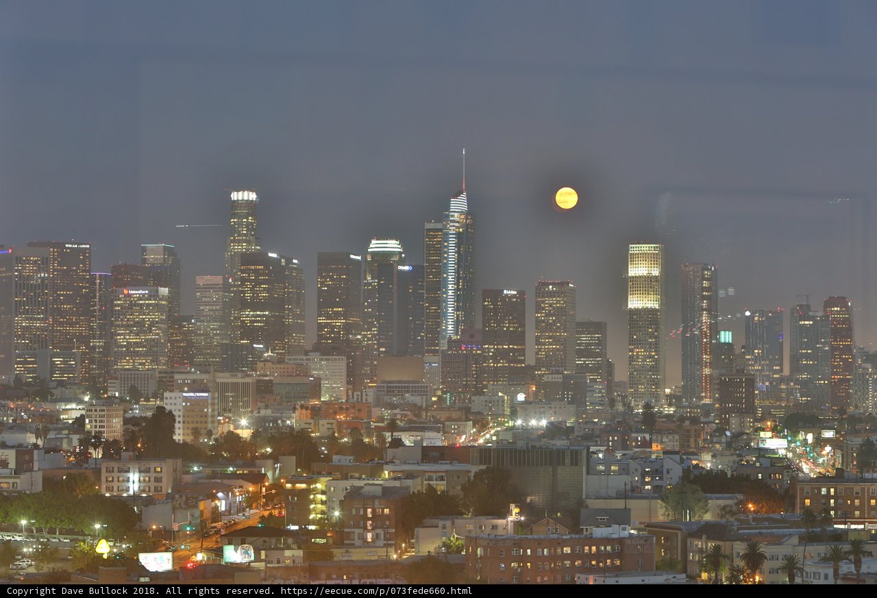 Moonlit Metropolis