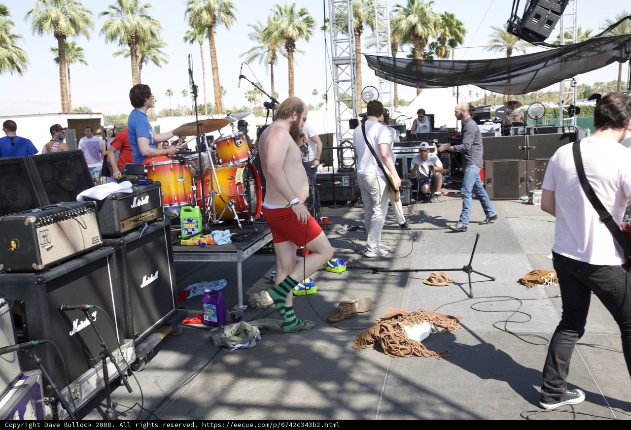 Musical Performance Under the Blue Palm Trees