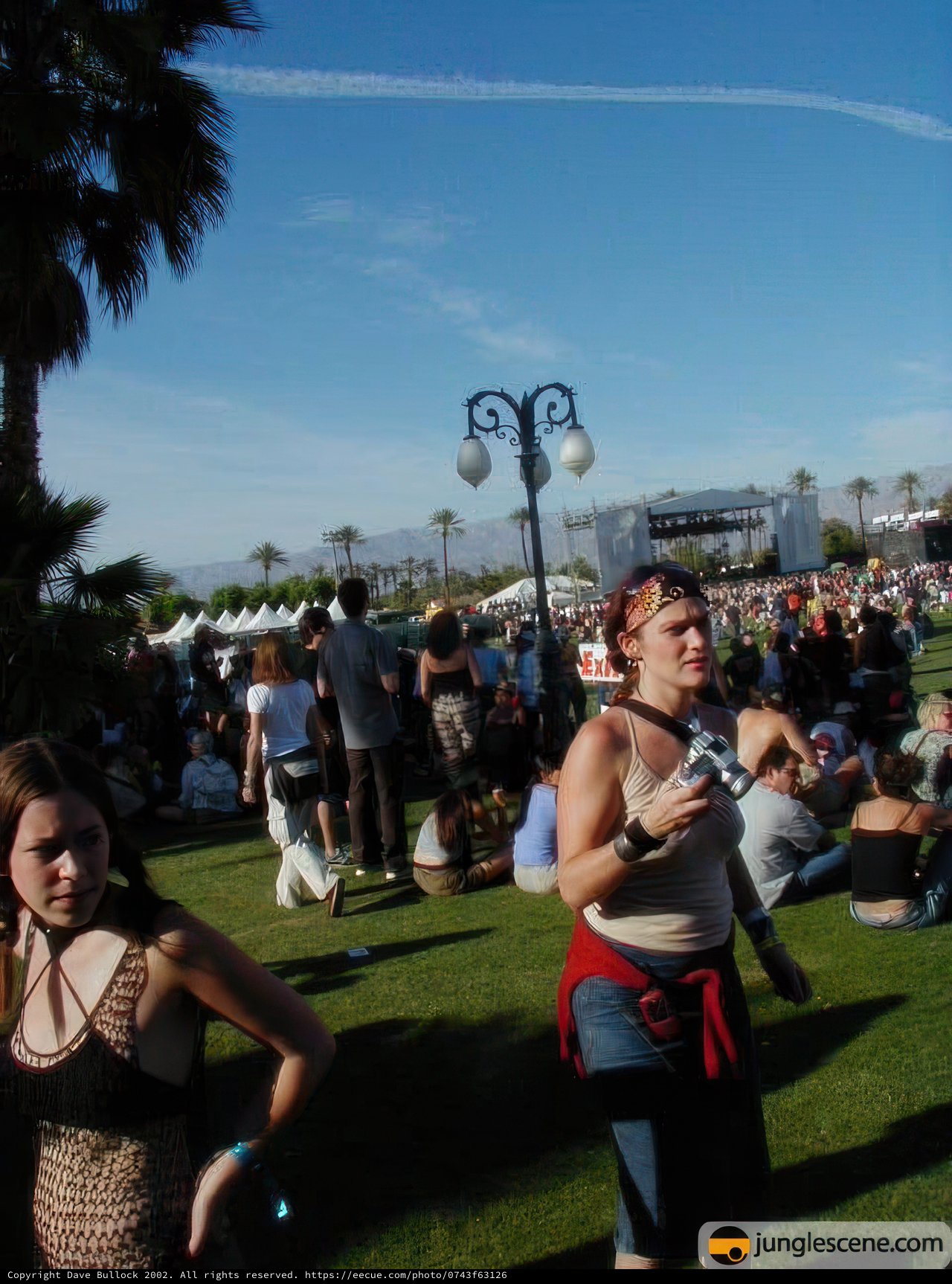 Music Festival Fun in the Sun