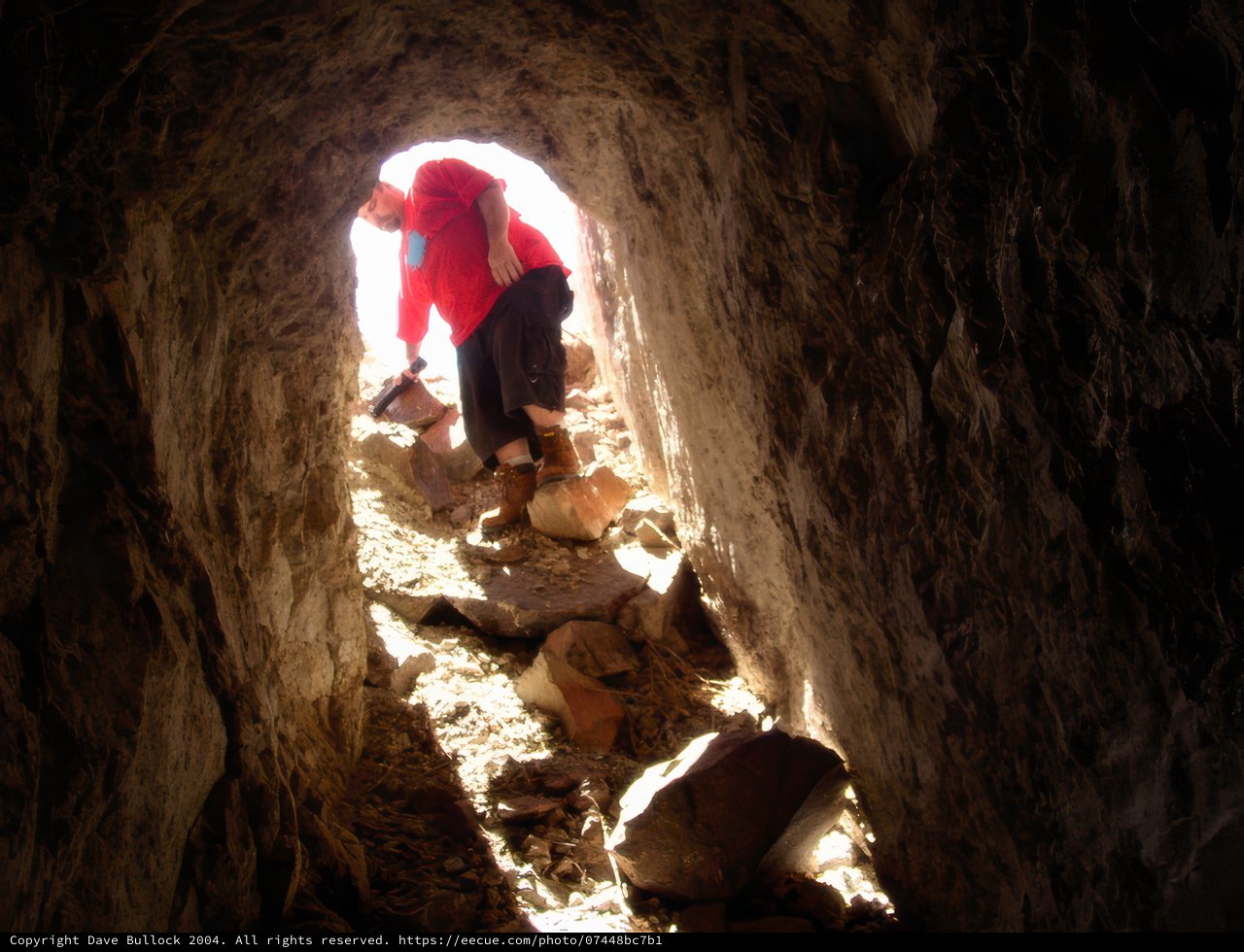 Tunnel Light