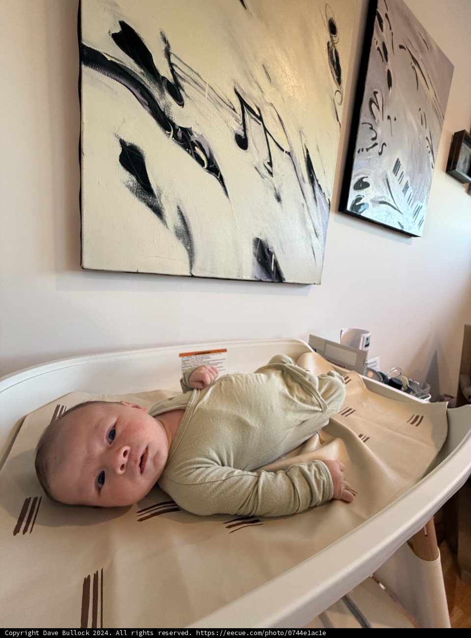 Little Leland's Artful Afternoon