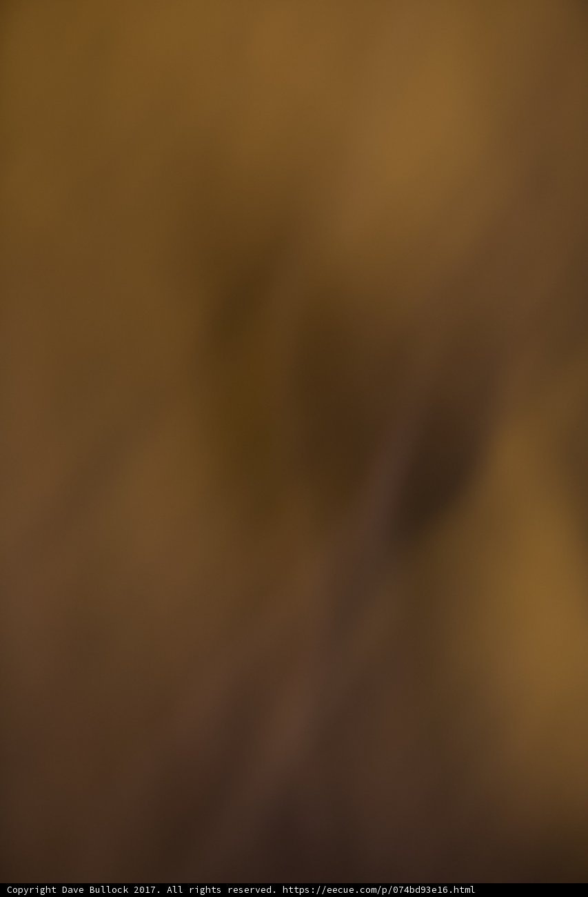 Blurry Nature Background