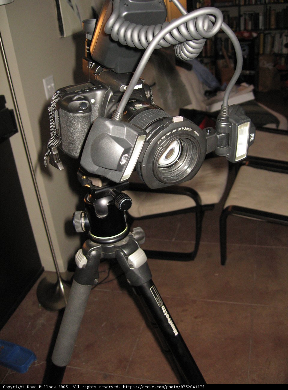 Set Up for the Shot