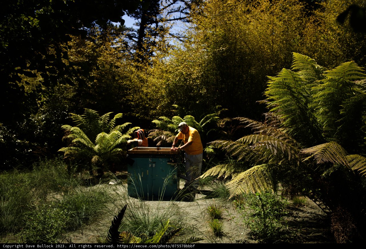 Serenity in the Green: A Day at de Young Museum, 2023