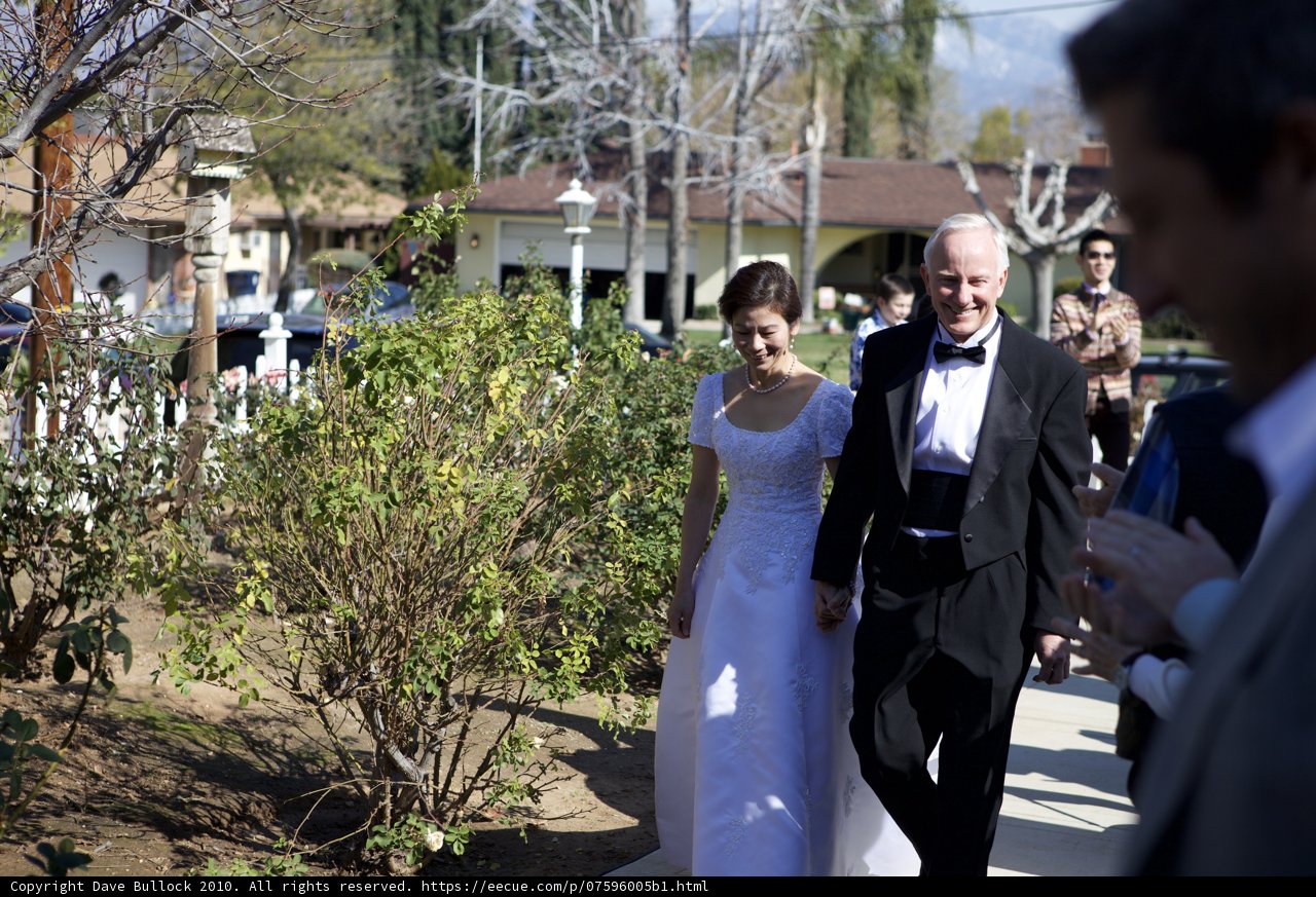 Walking into Forever