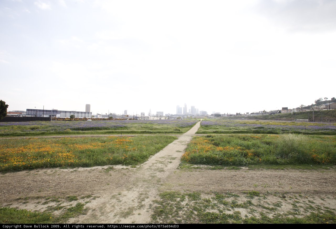 City in the Distance