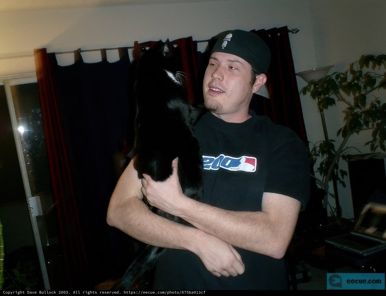 Man and his Feline Companion