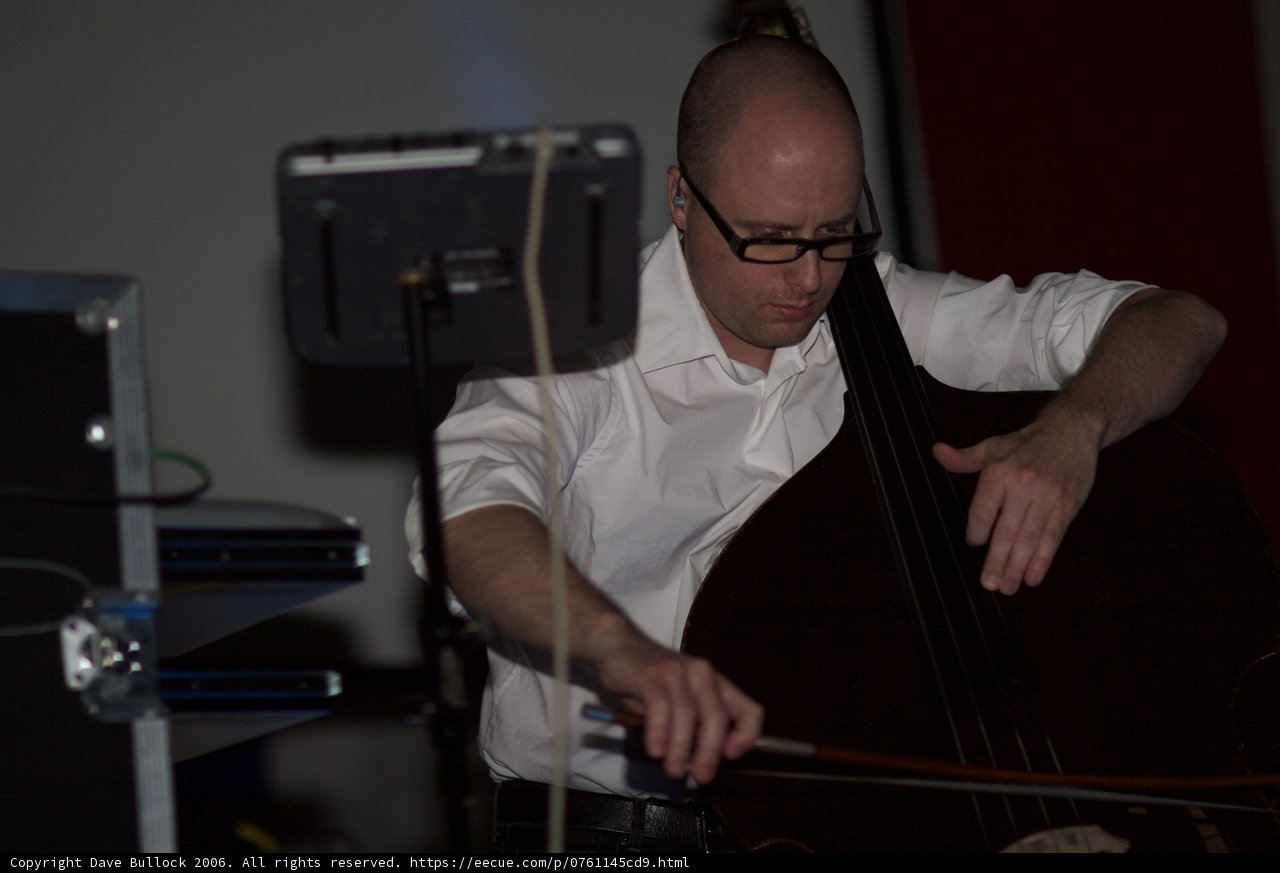Playing the Double Bass
