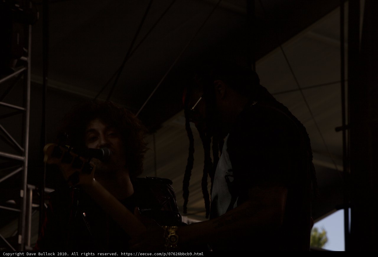 Musical Duo with Microphone