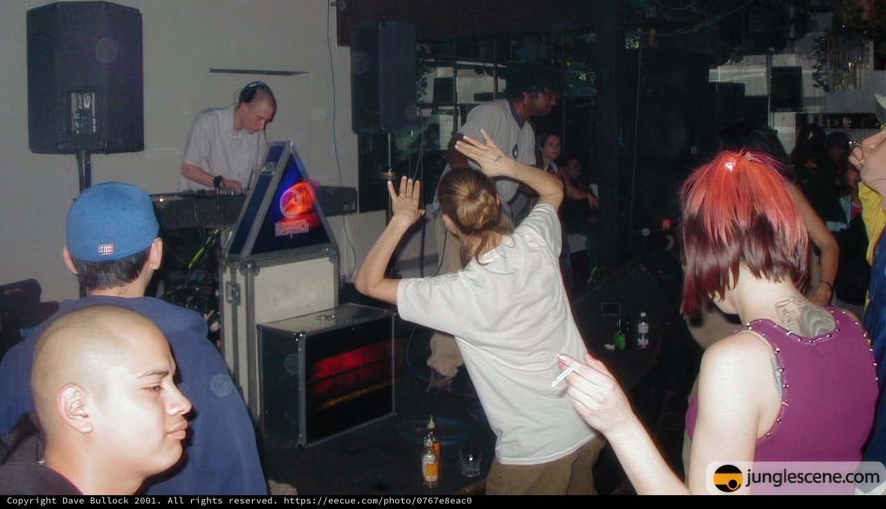Nightclub Party with DJ and Friends