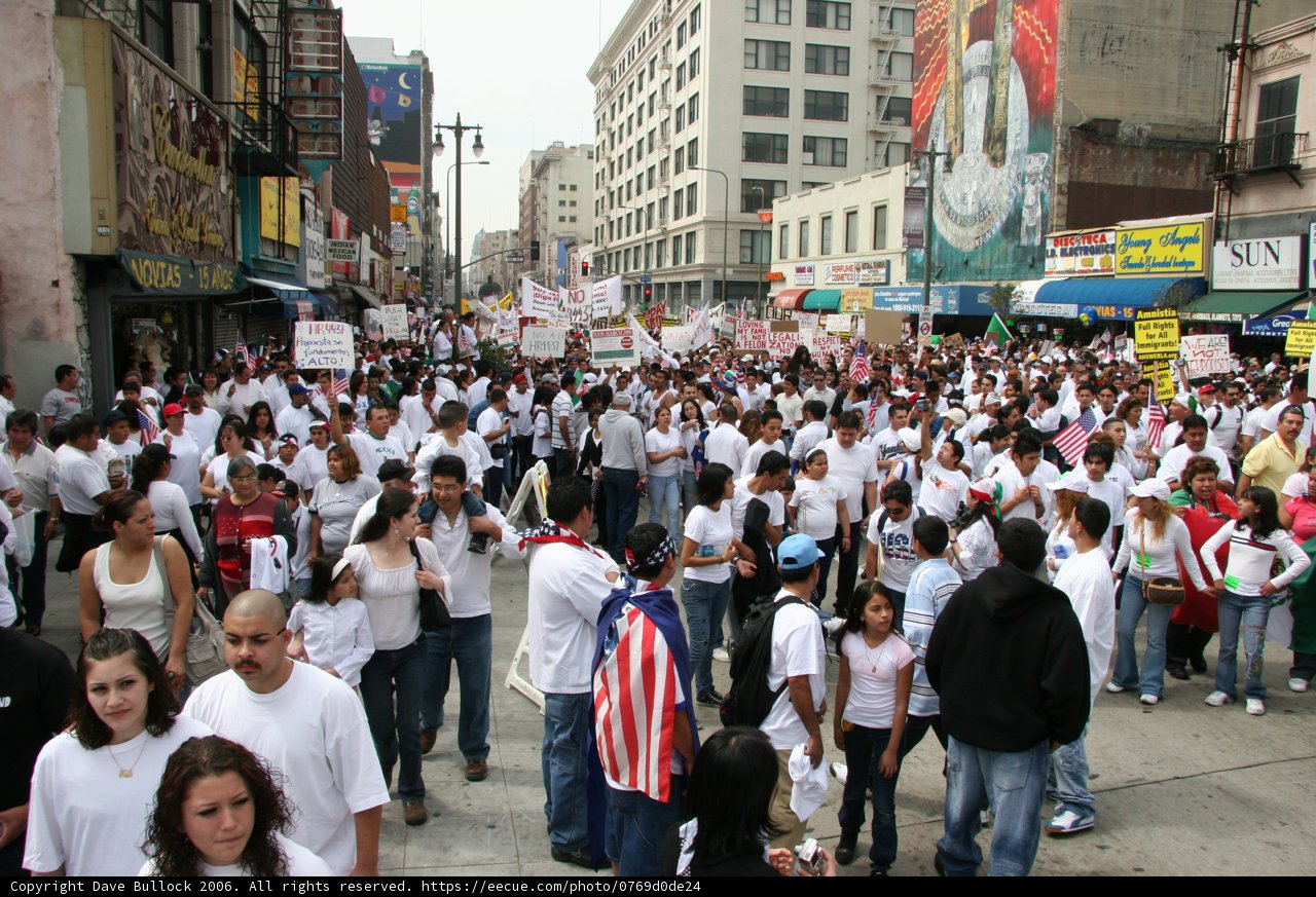 A Crowd Gathers on the Urban Streets