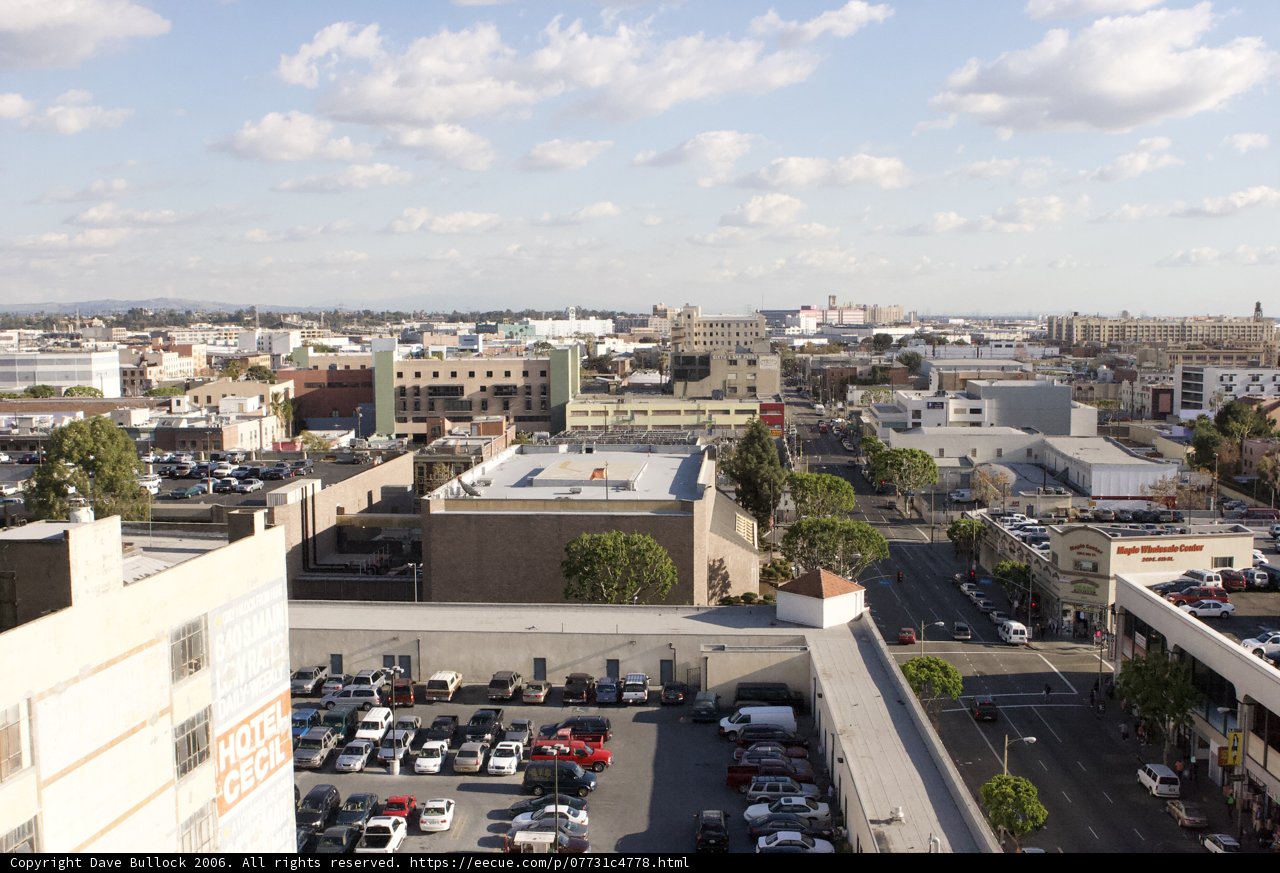 Bird's Eye View of the Metropolis