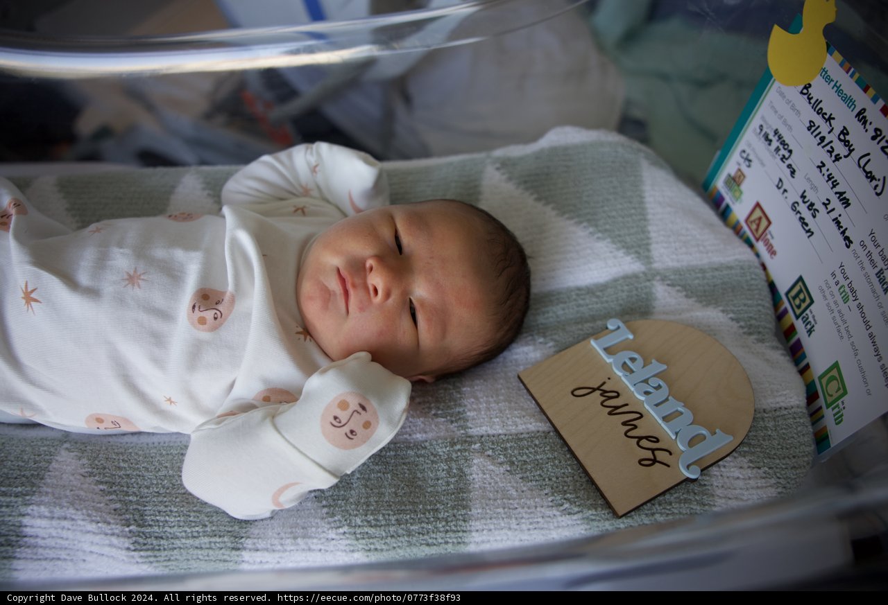 Welcome to the World, Leland