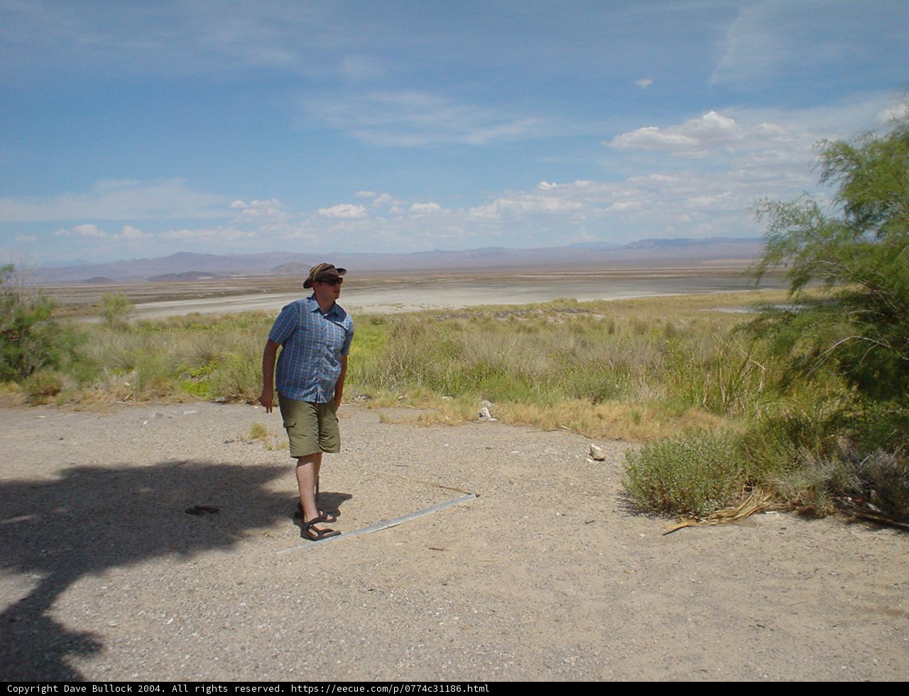 Lone Wanderer in a Vast Landscape