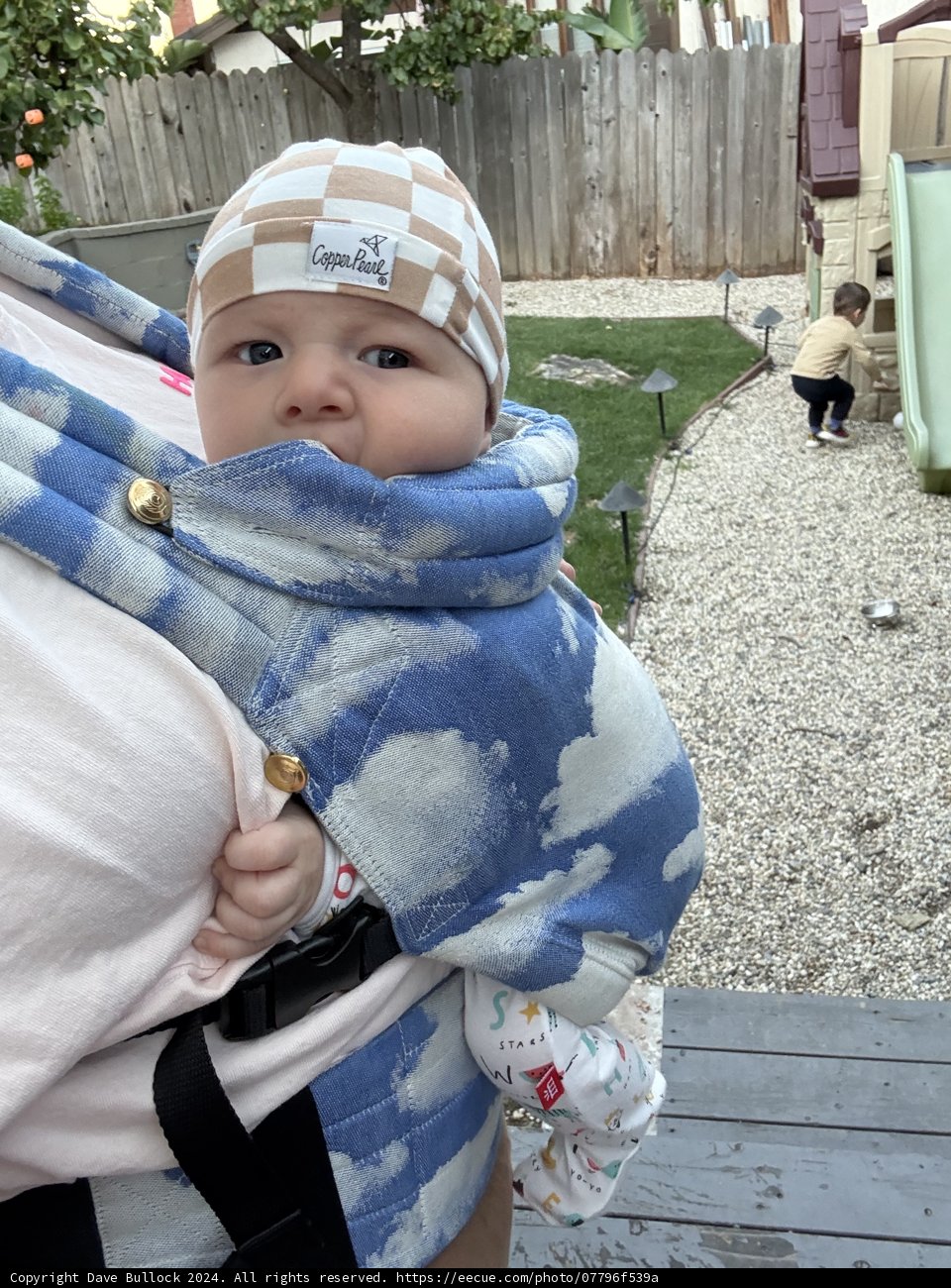 Cozy Moments in the Backyard