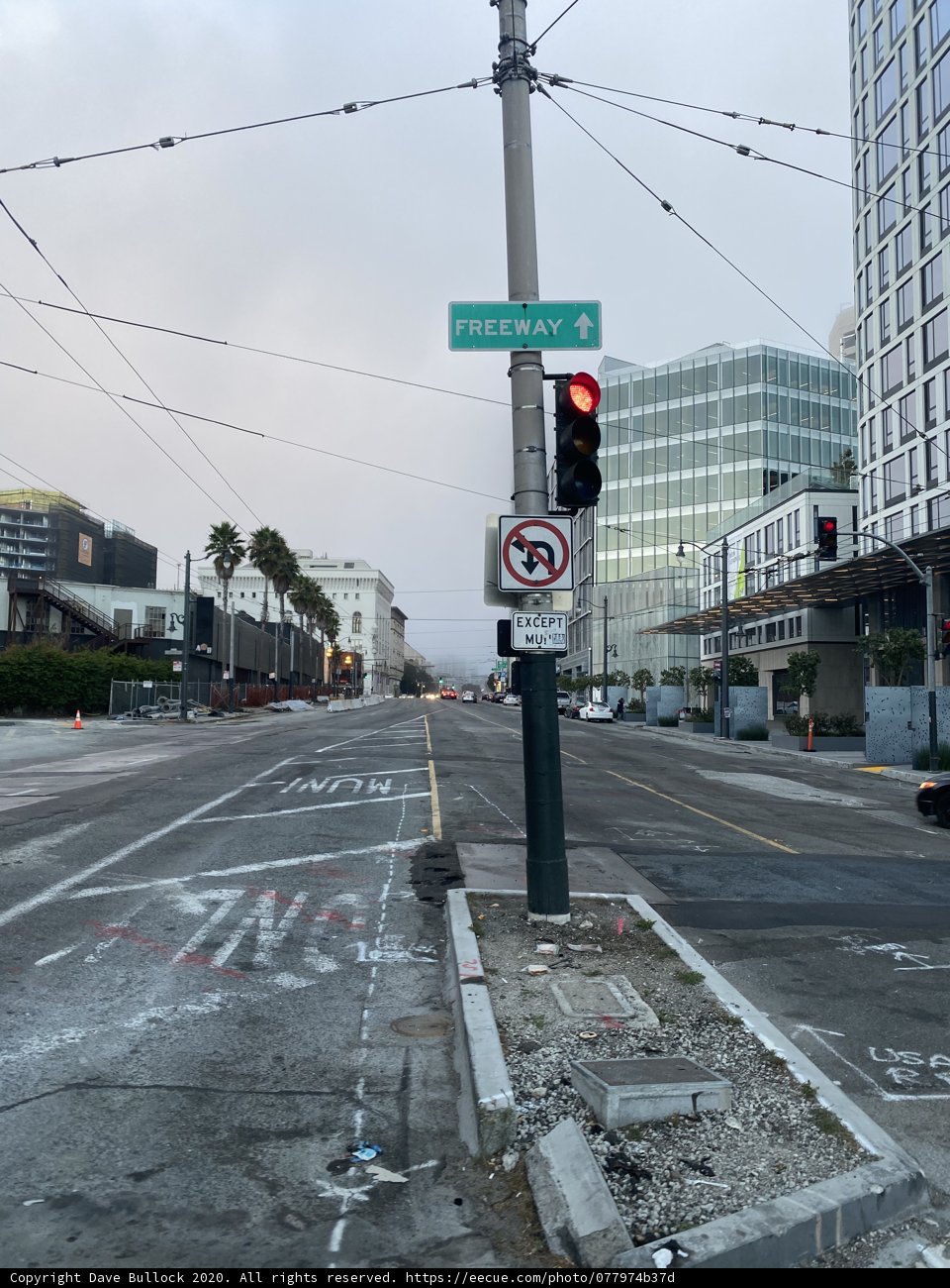 Intersection of the Urban Jungle
