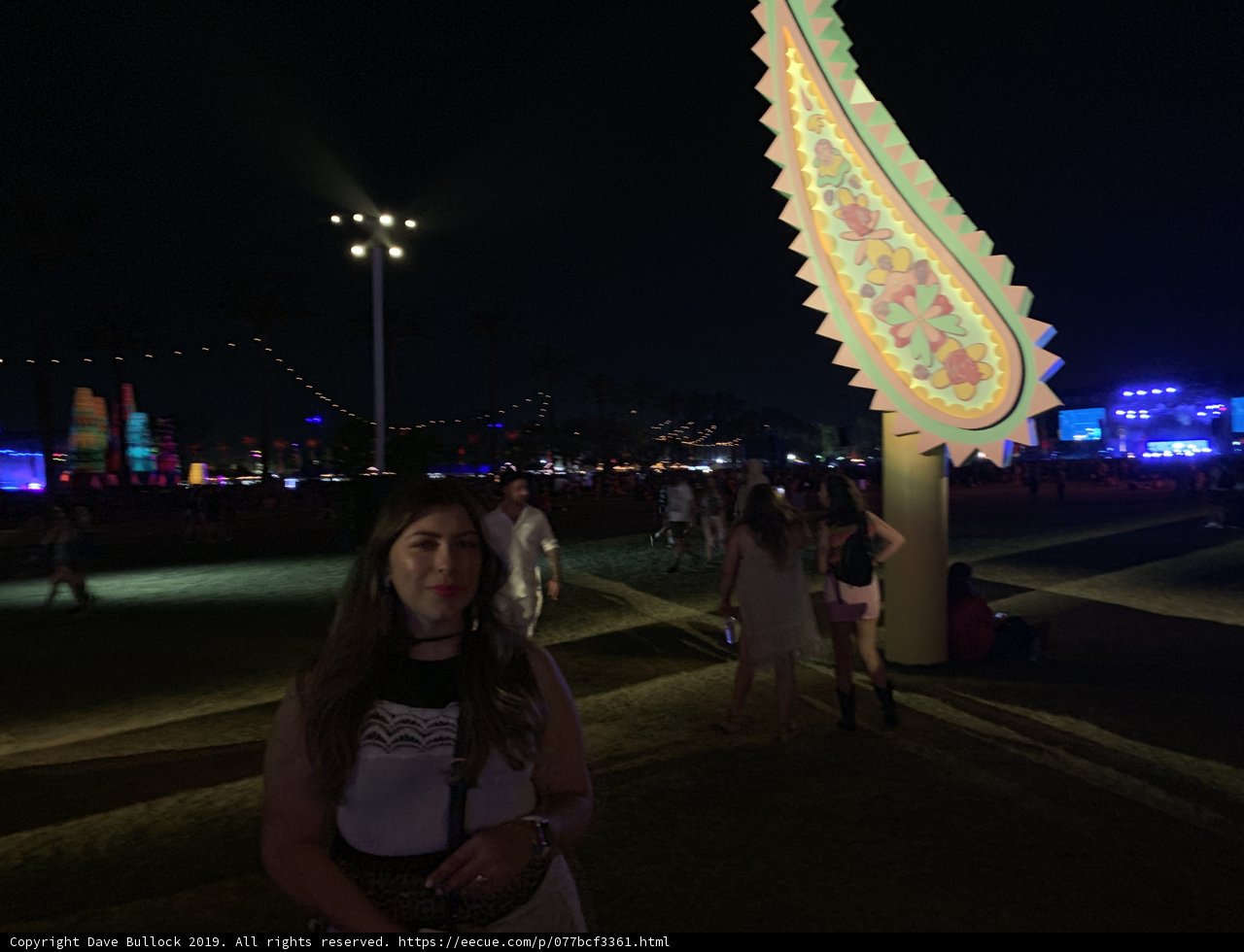Illuminated in the Night