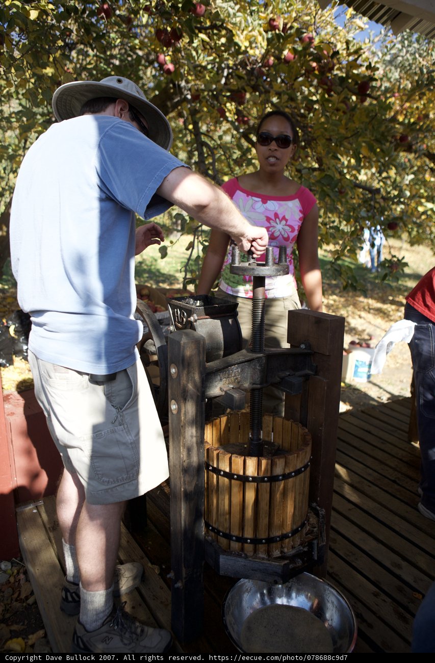 Family Fun at the Apple Farm