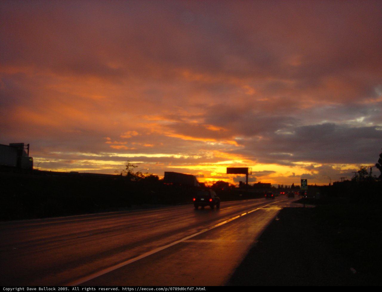 A Drive Into the Golden Hour