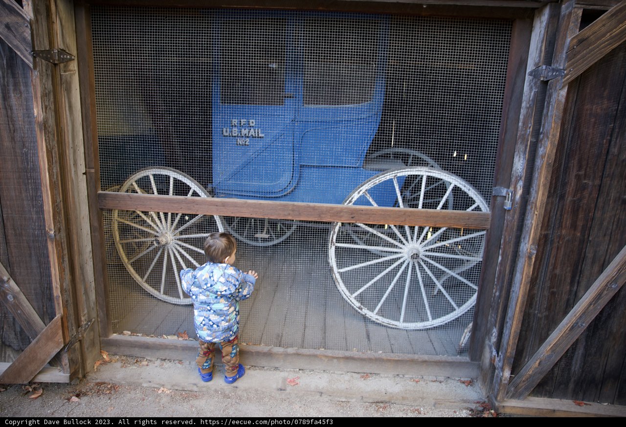 The Boy and the Carriage: A Sonoma Encounter