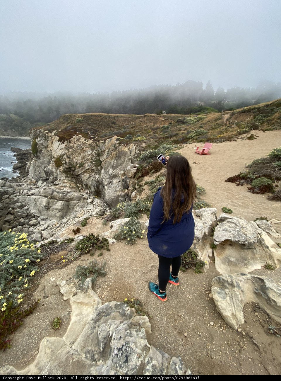 Overlooking the Wilderness