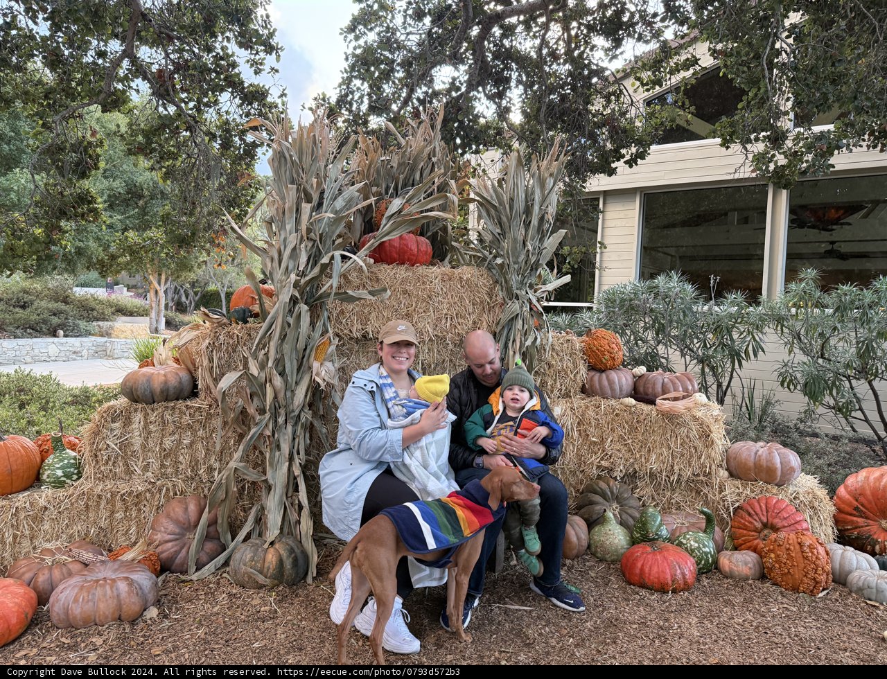 Autumn Gatherings in Carmel