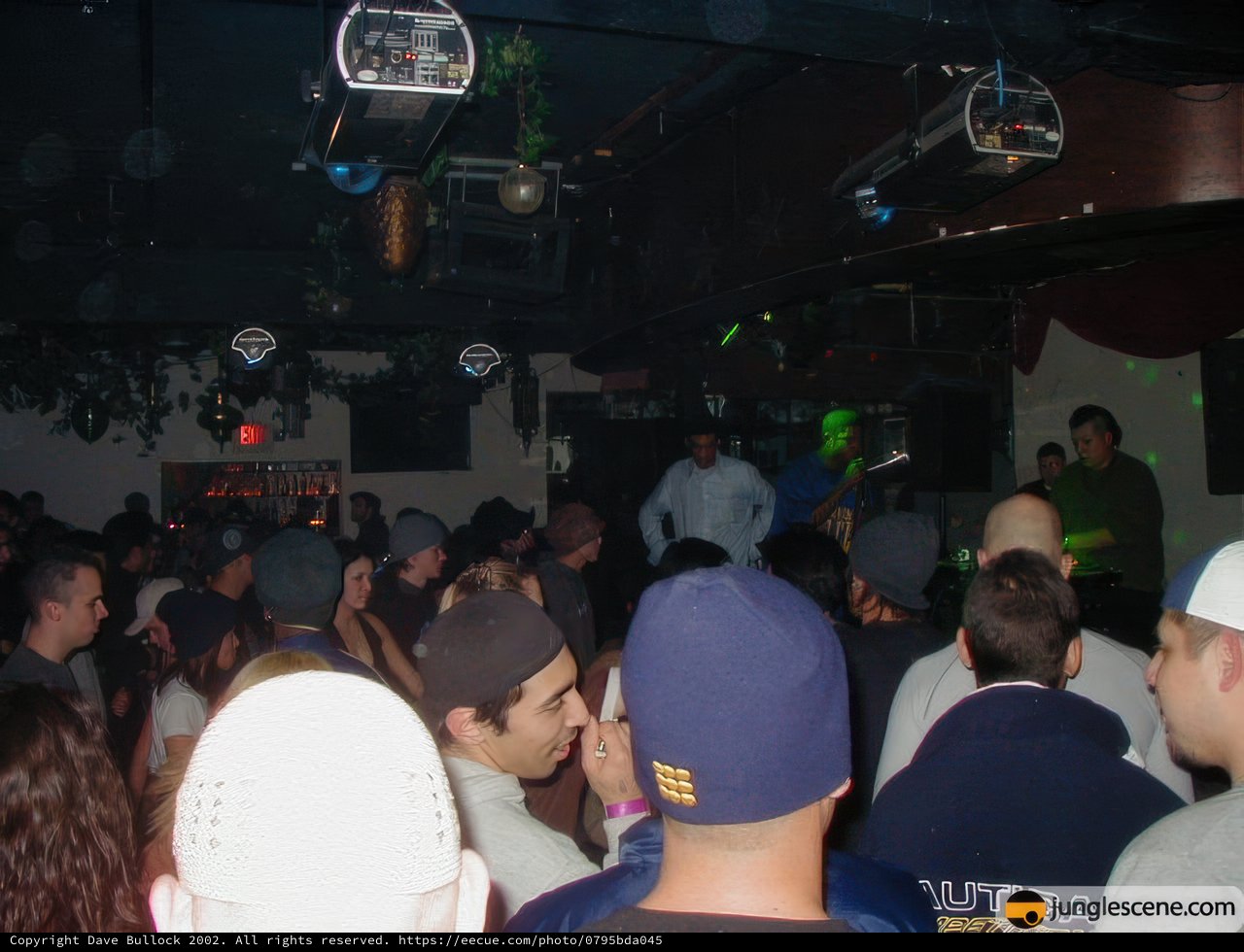 Nightclub Vibes