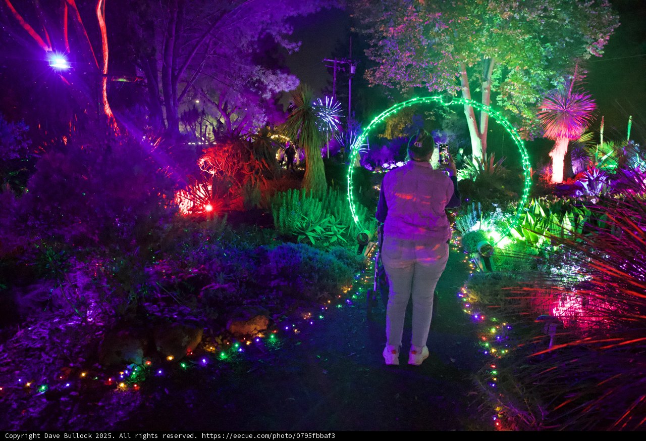 Enchanted Evenings in a Luminous Garden