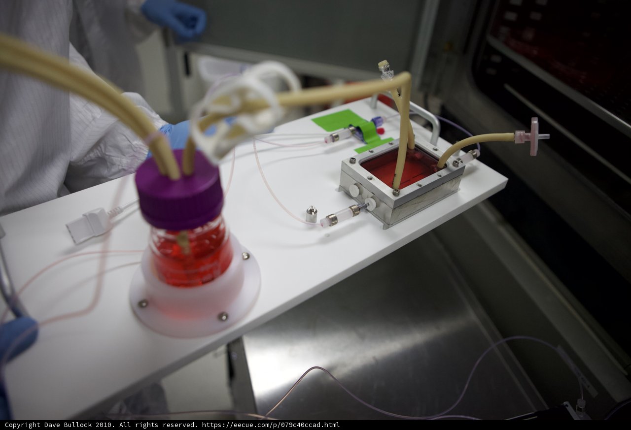 Innovative Wiring in the Lab