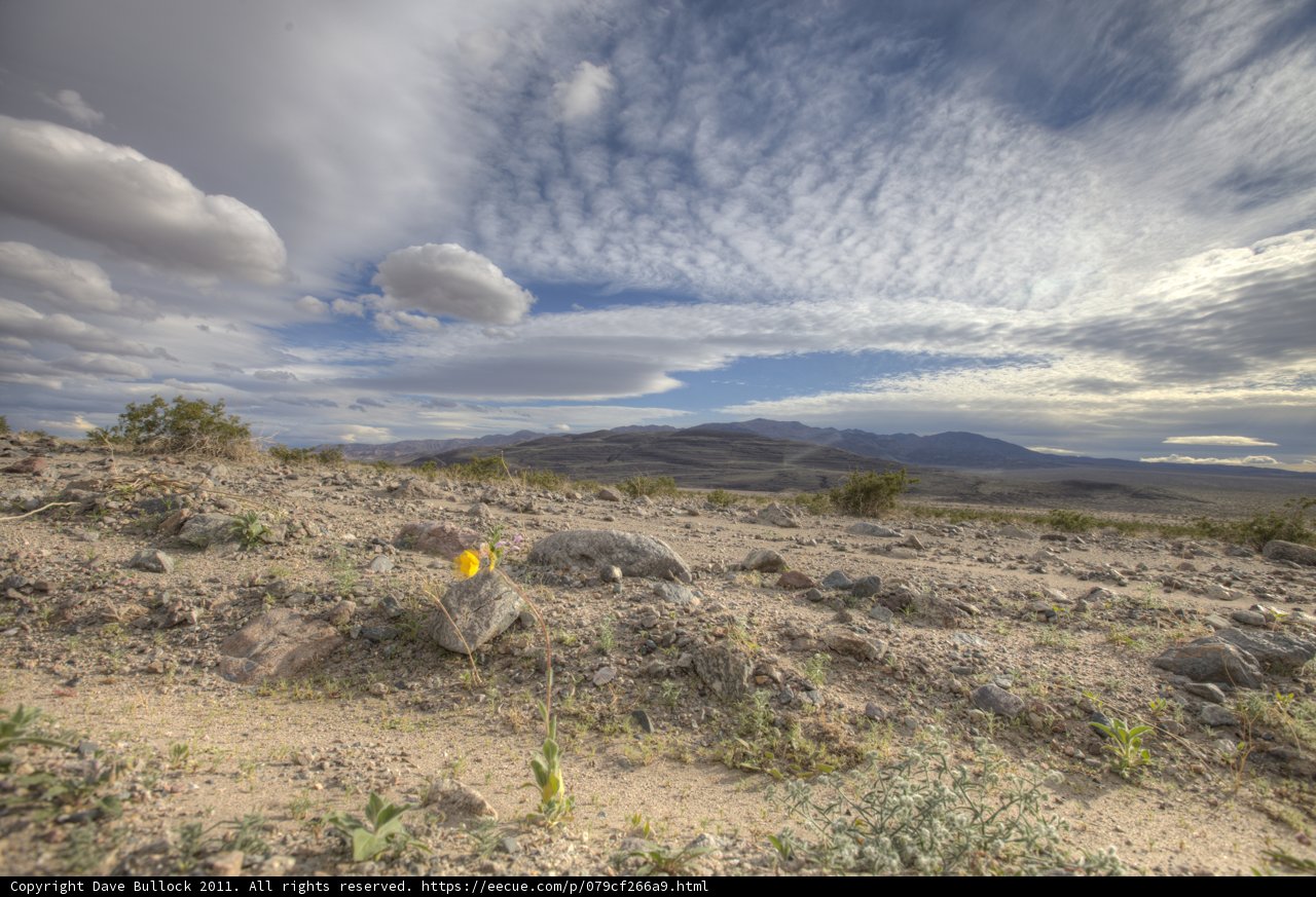 Solitude in the Desert