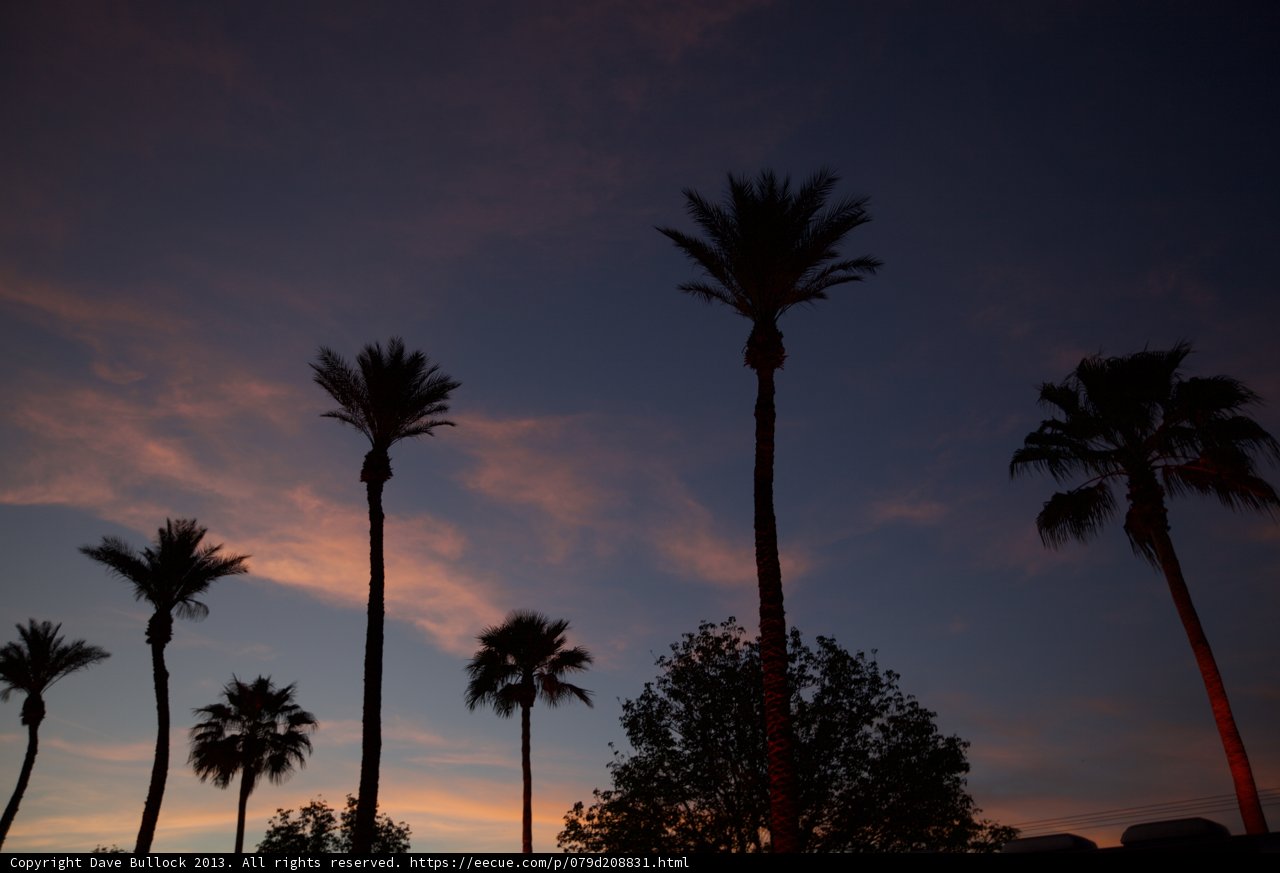 Palm Trees Silhouetted Against a Vibrant Sunset Sky