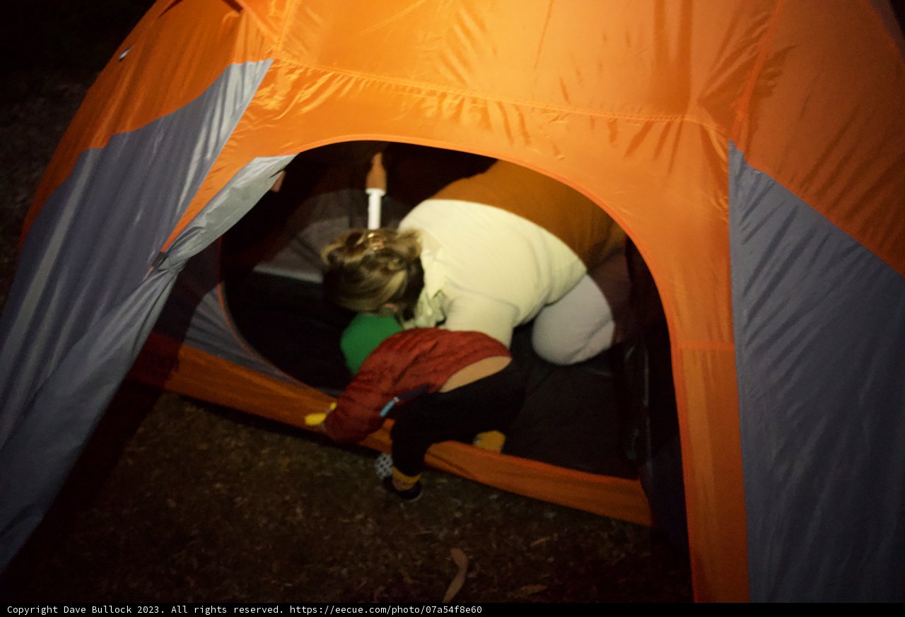 An Enchanted Night Camping in Presidio