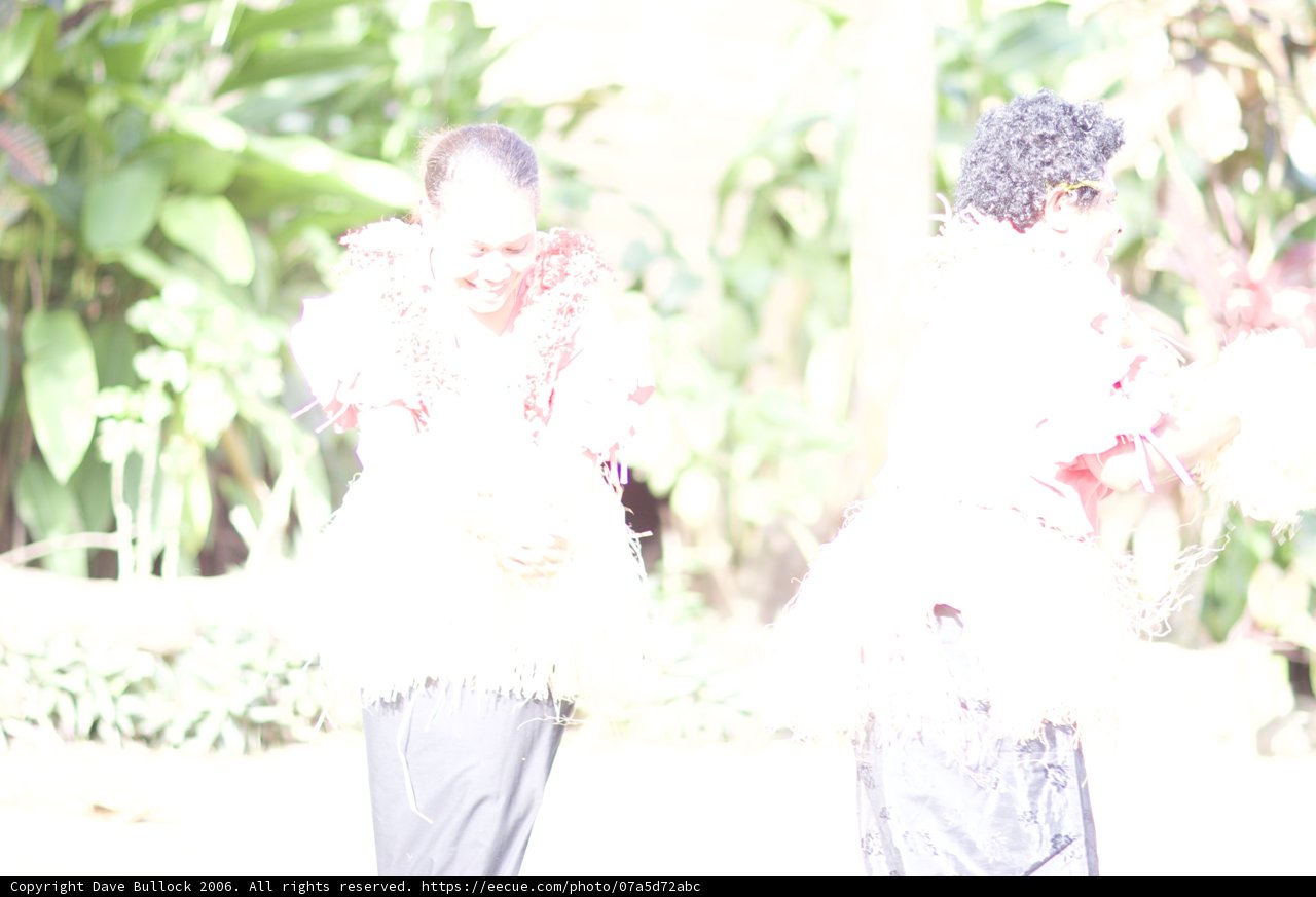 Traditional Dance in the Park