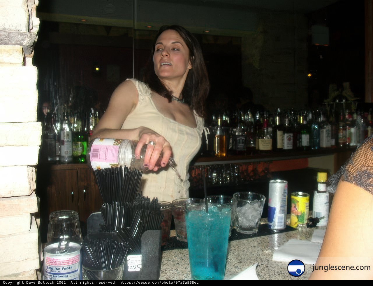 Bartender at Wedding Reception
