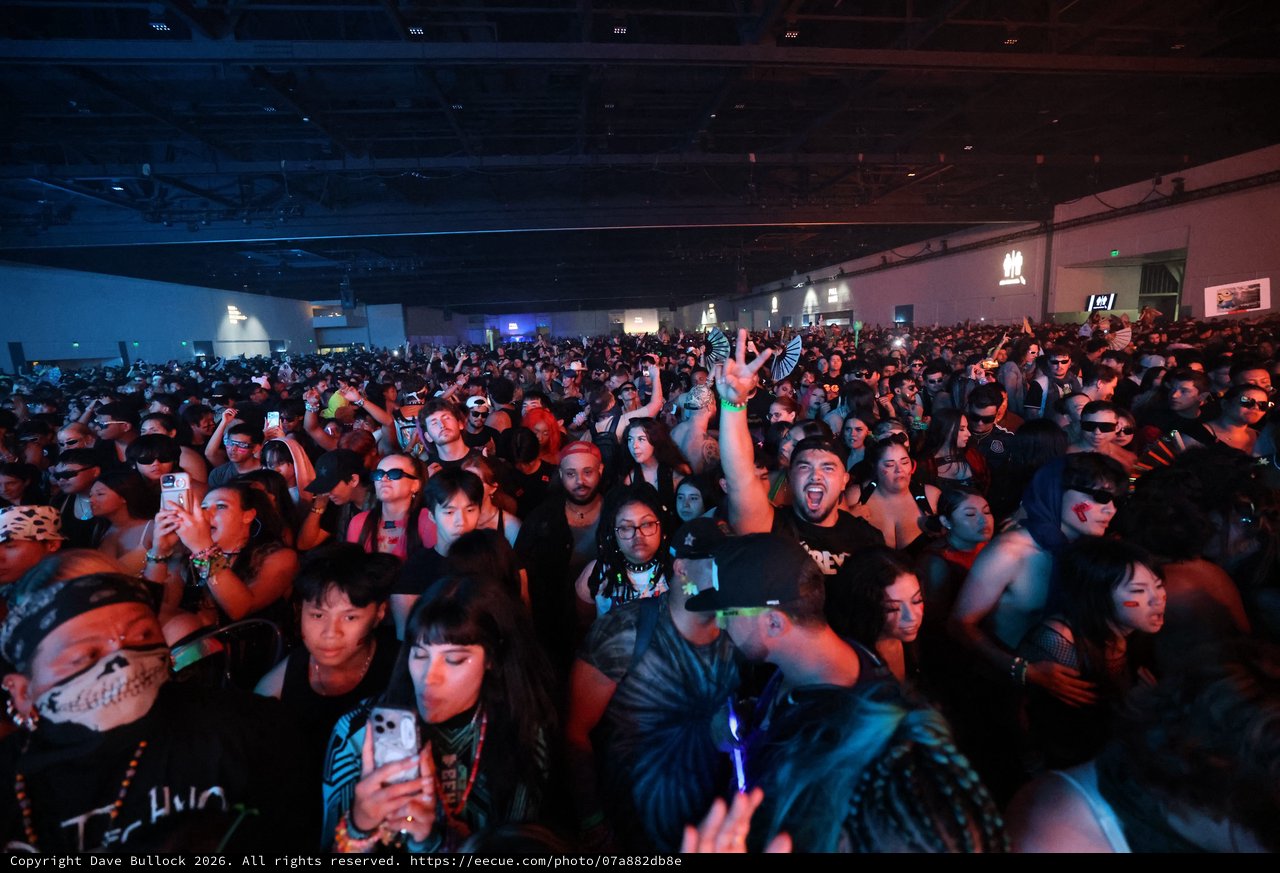 Massive Crowd Surges at Wobbleland 2026 Festival