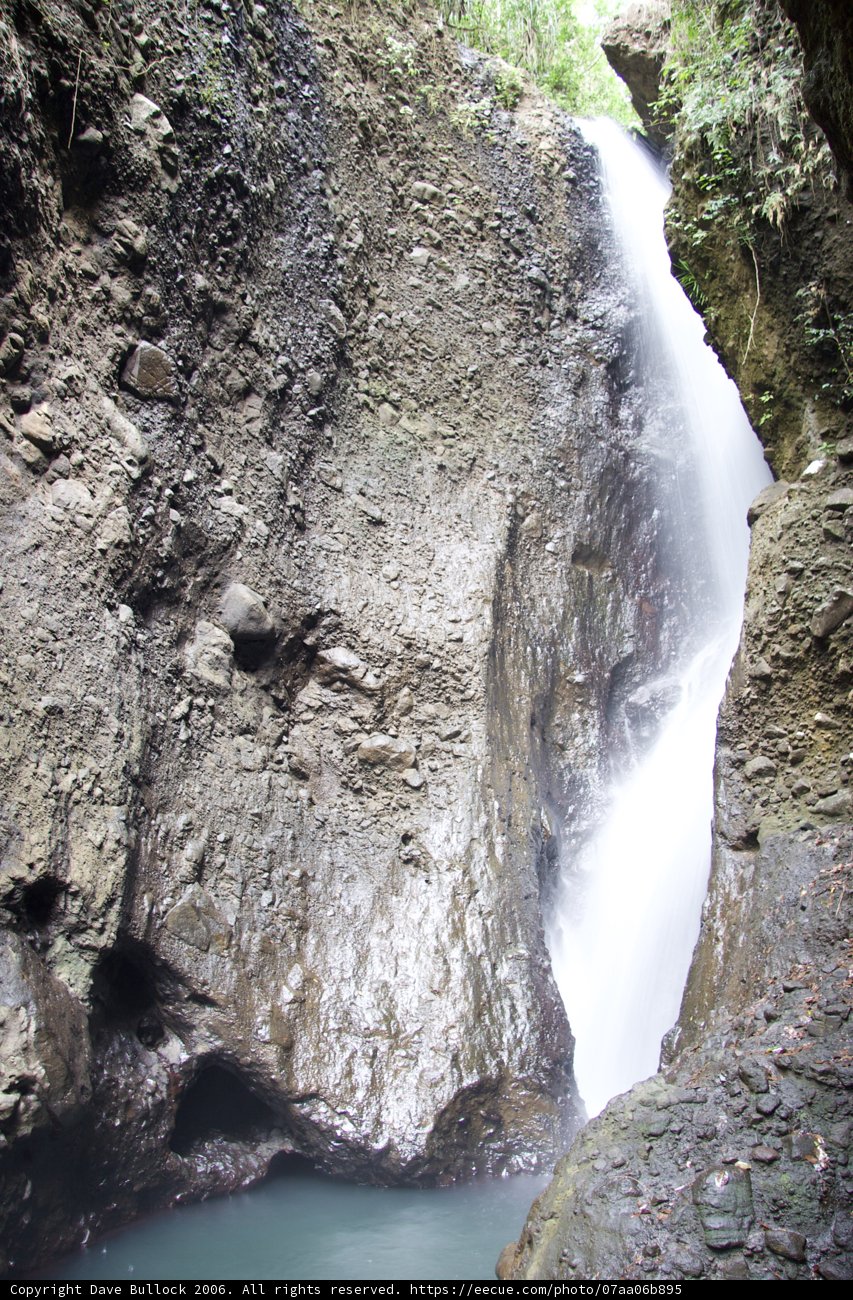 Cascading Waters amidst Nature's Bounty