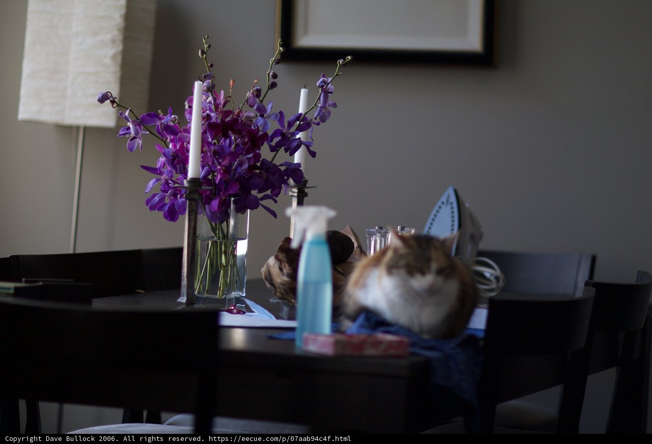 Floral Still Life on a Dining Table