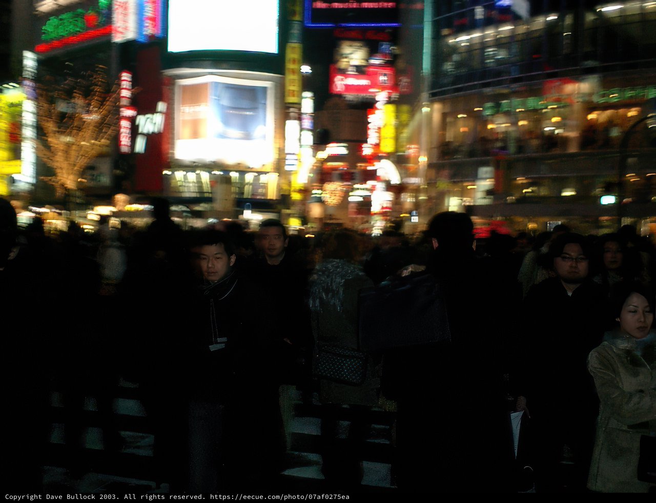 Nightlife in Tokyo's Metropolis
