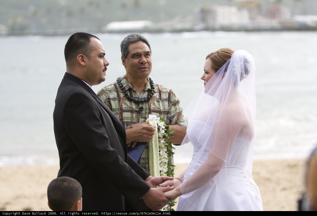 A Dreamy Hawaiian Wedding